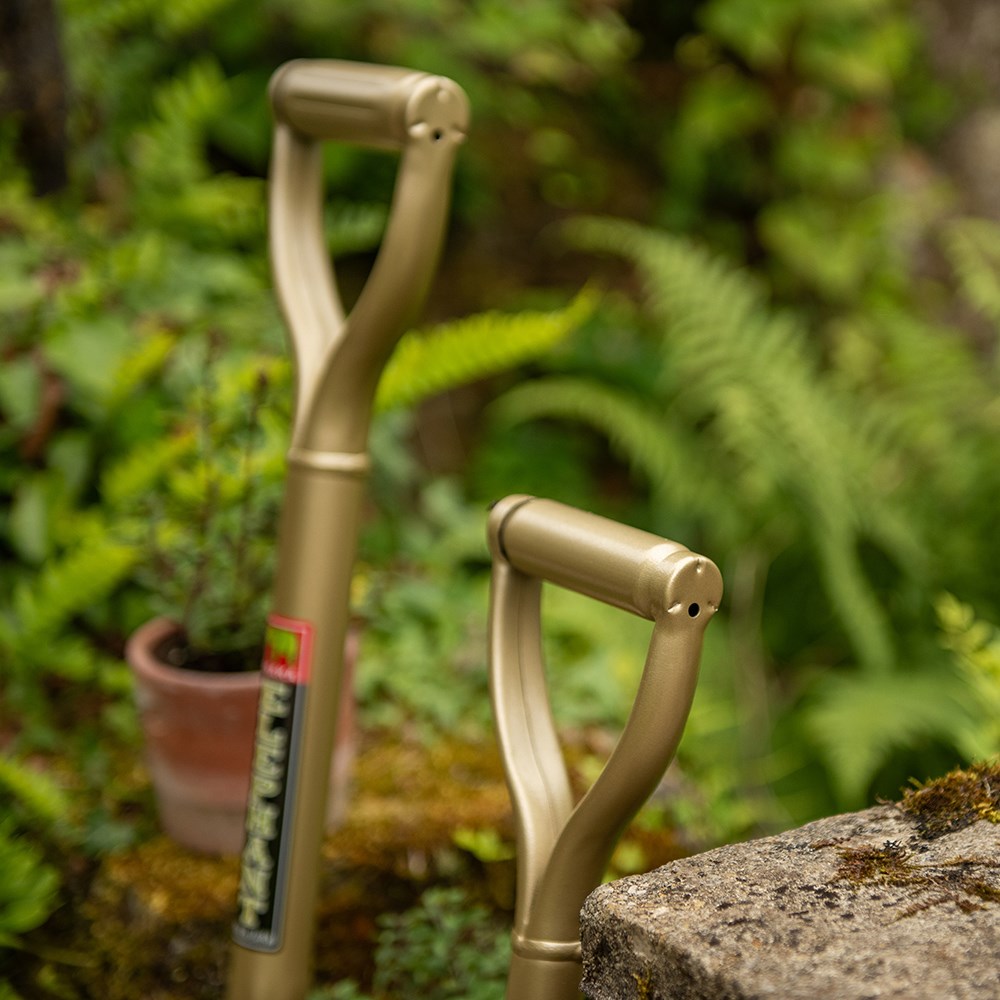 Niwaki golden spade