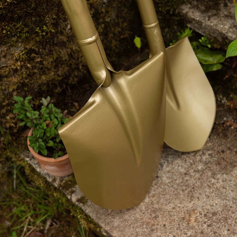 Niwaki golden spade