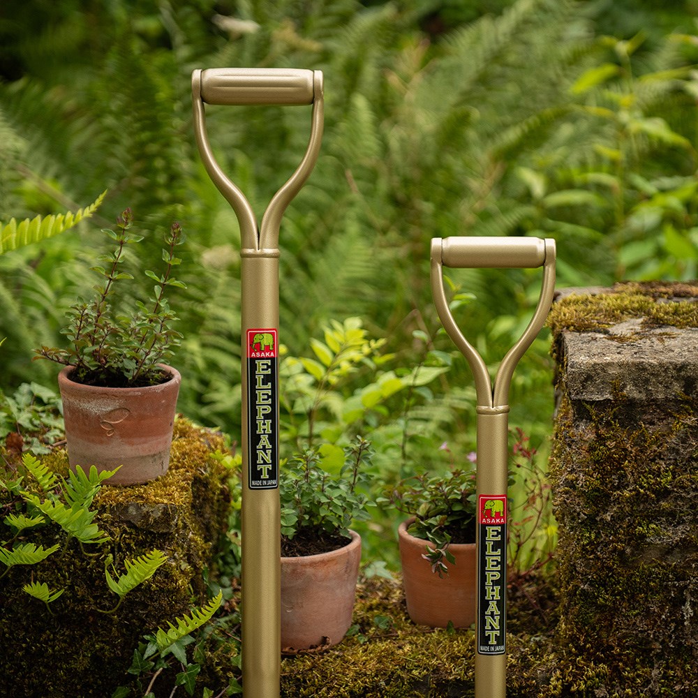 Niwaki golden spade