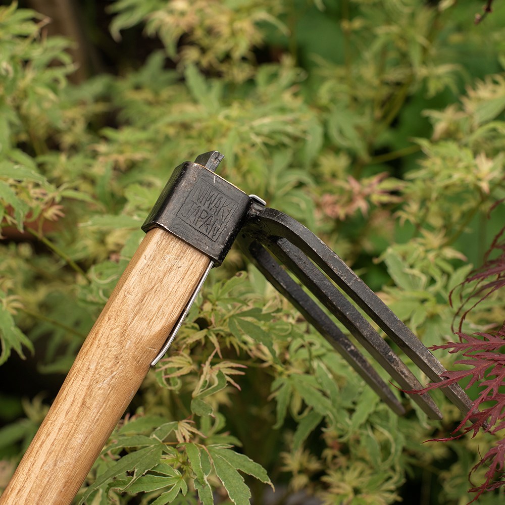 Niwaki forked hand hoe