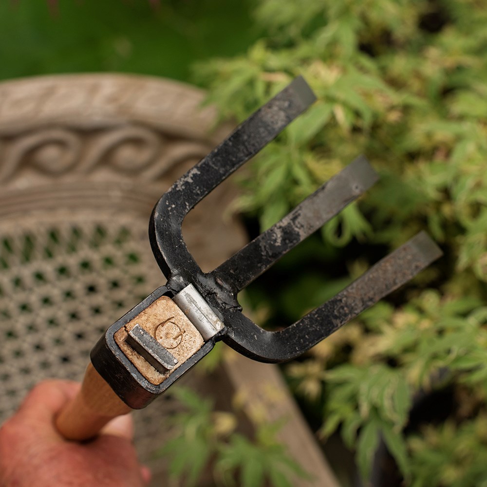 Niwaki forked hand hoe