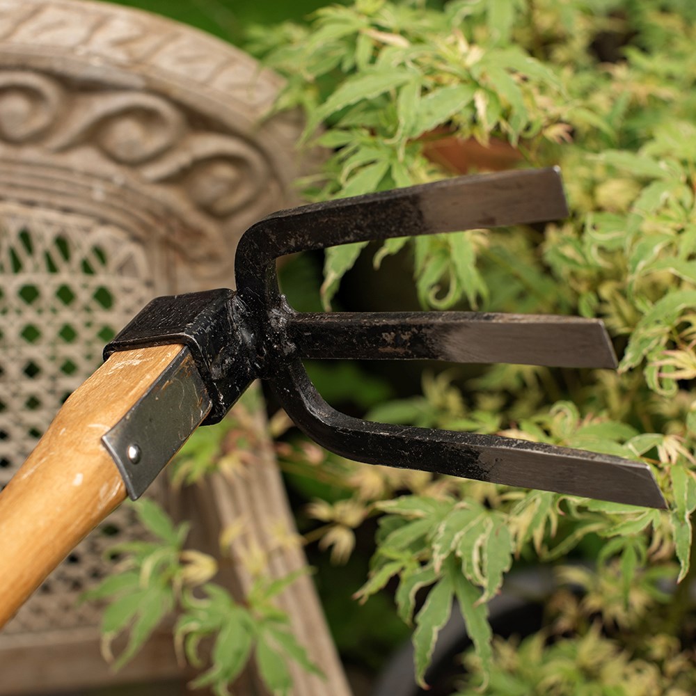 Niwaki forked hand hoe