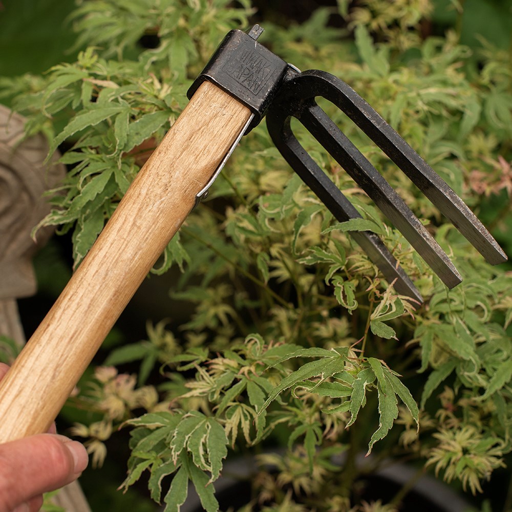 Niwaki forked hand hoe