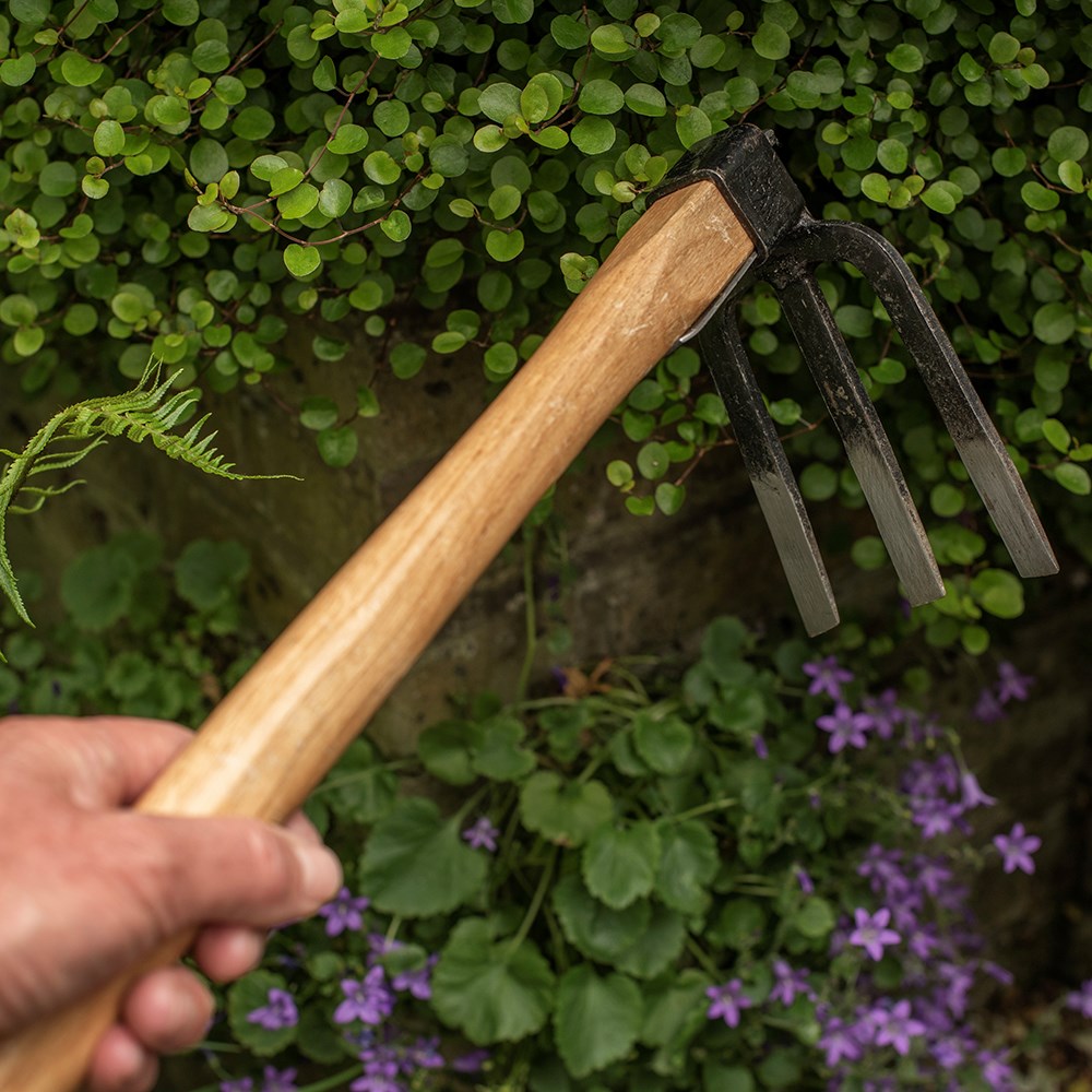 Niwaki forked hand hoe