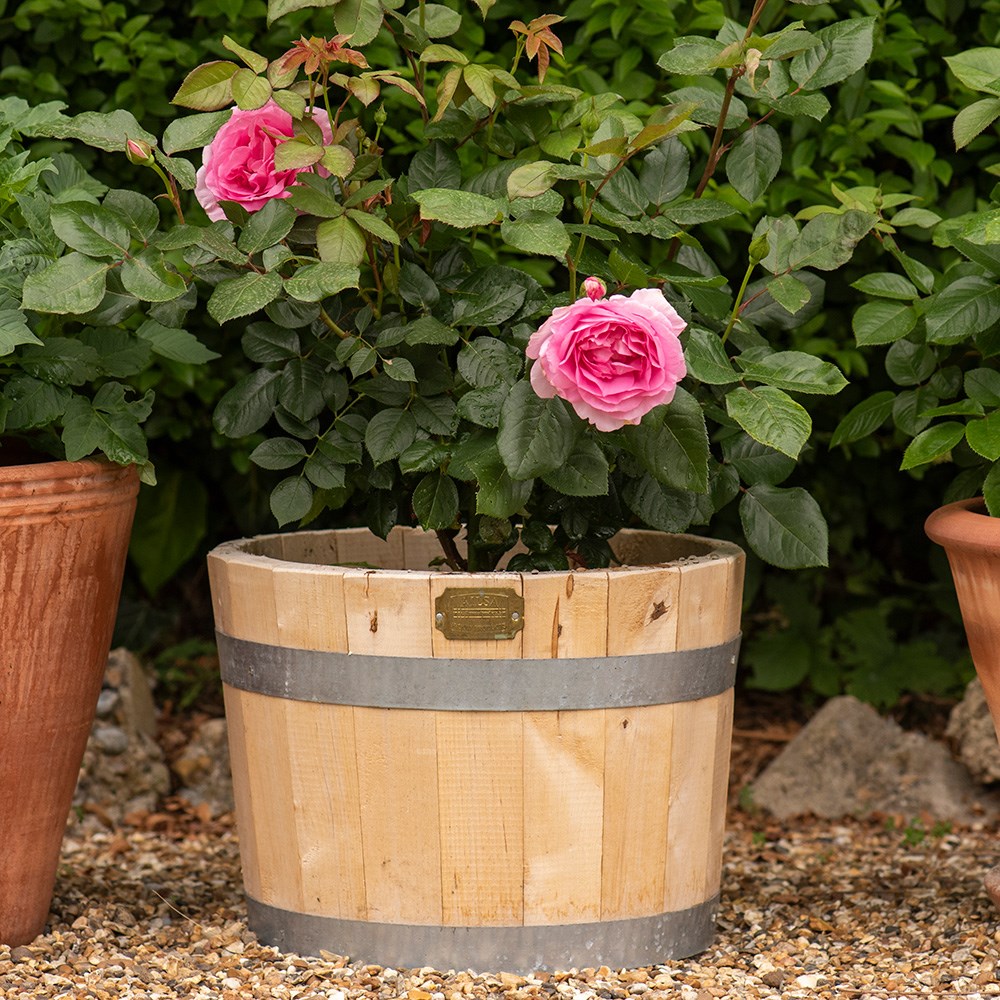Hardwood barrel planter