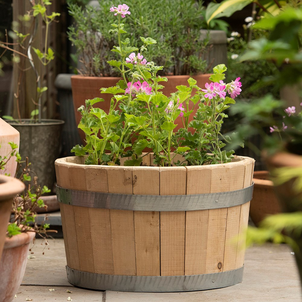 Hardwood barrel planter