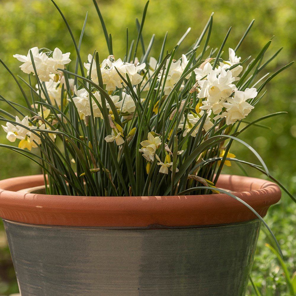 Grey kitchen planter