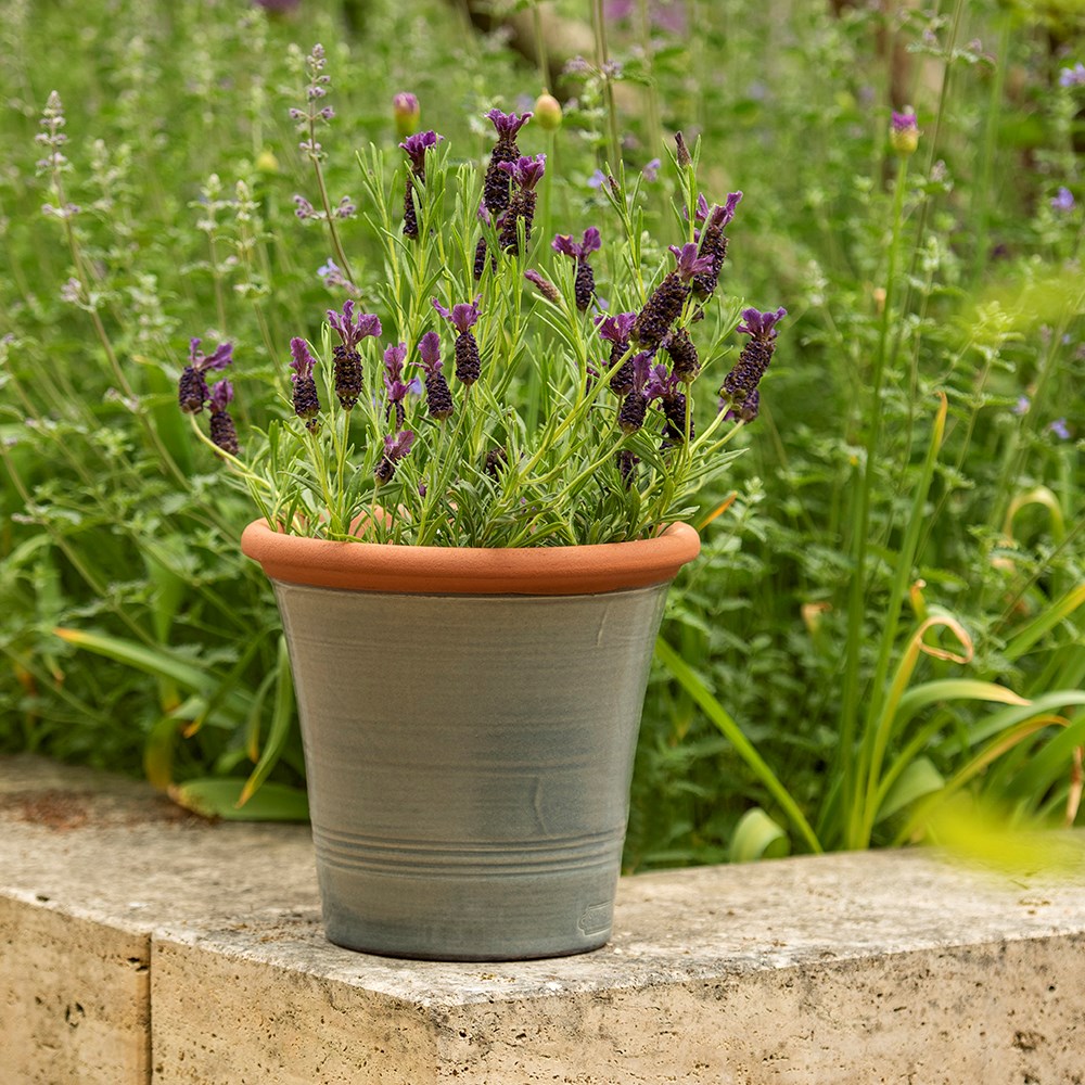 Grey kitchen planter