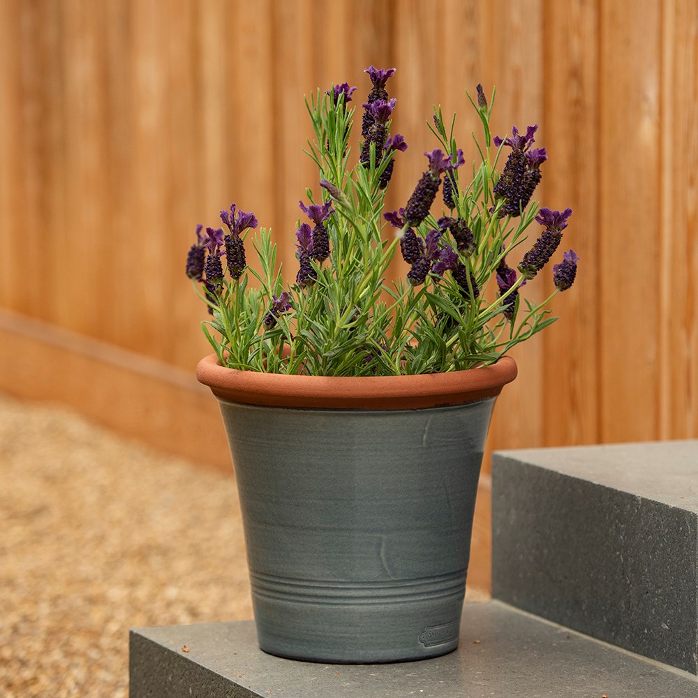 Grey kitchen planter