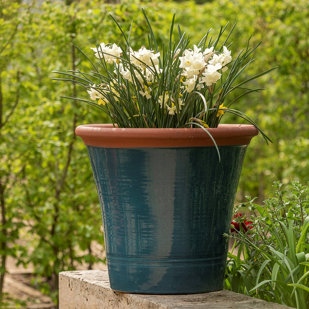 Dark teal kitchen planter