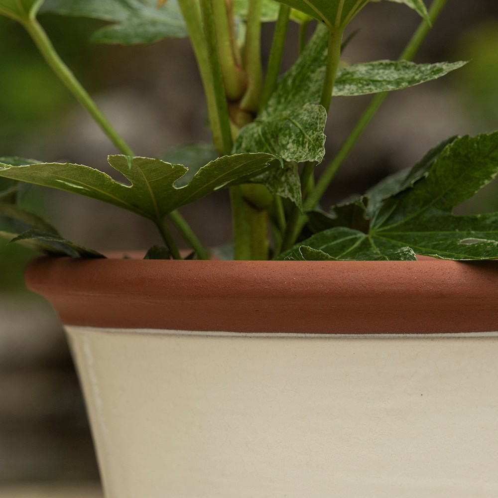 Ivory kitchen planter
