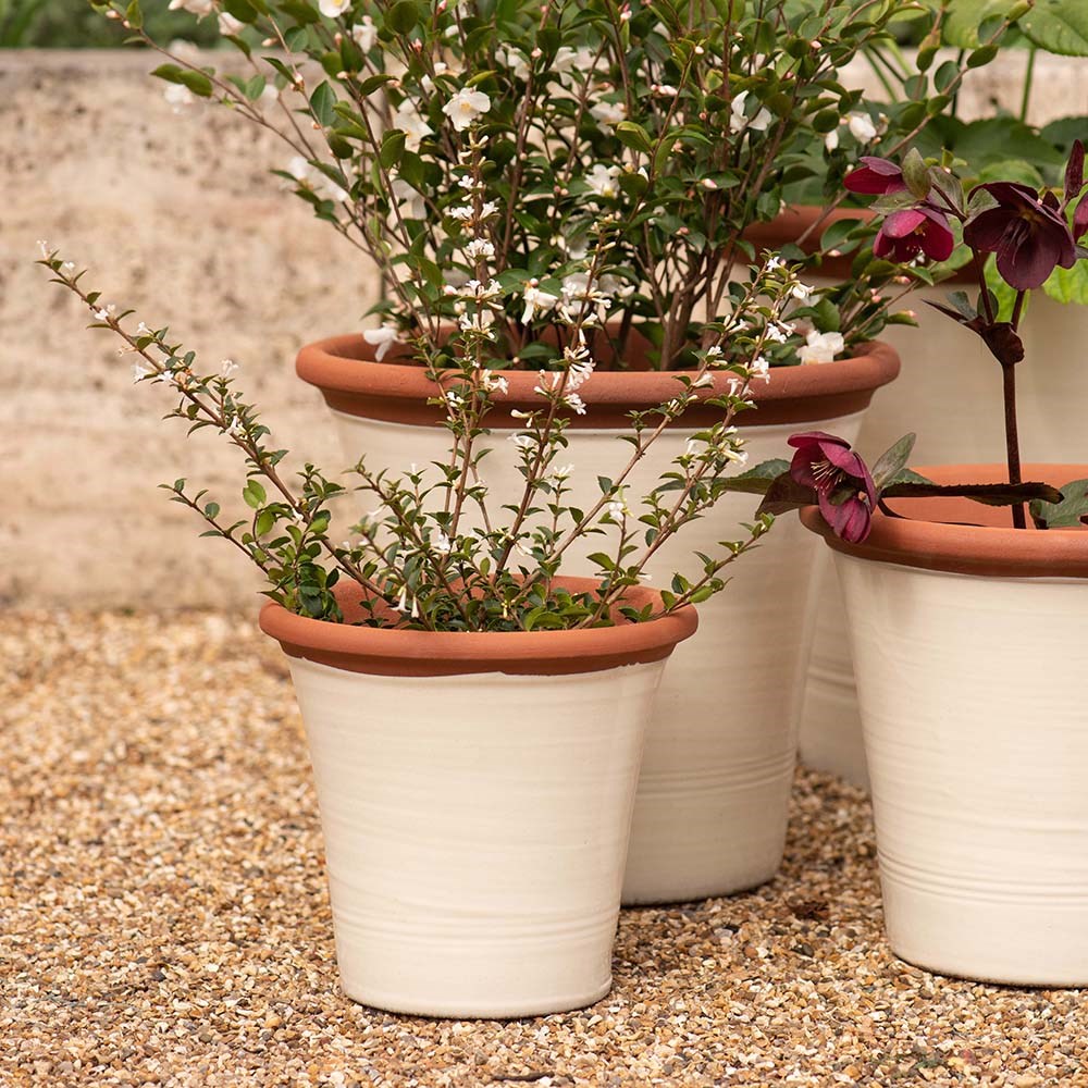Ivory kitchen planter