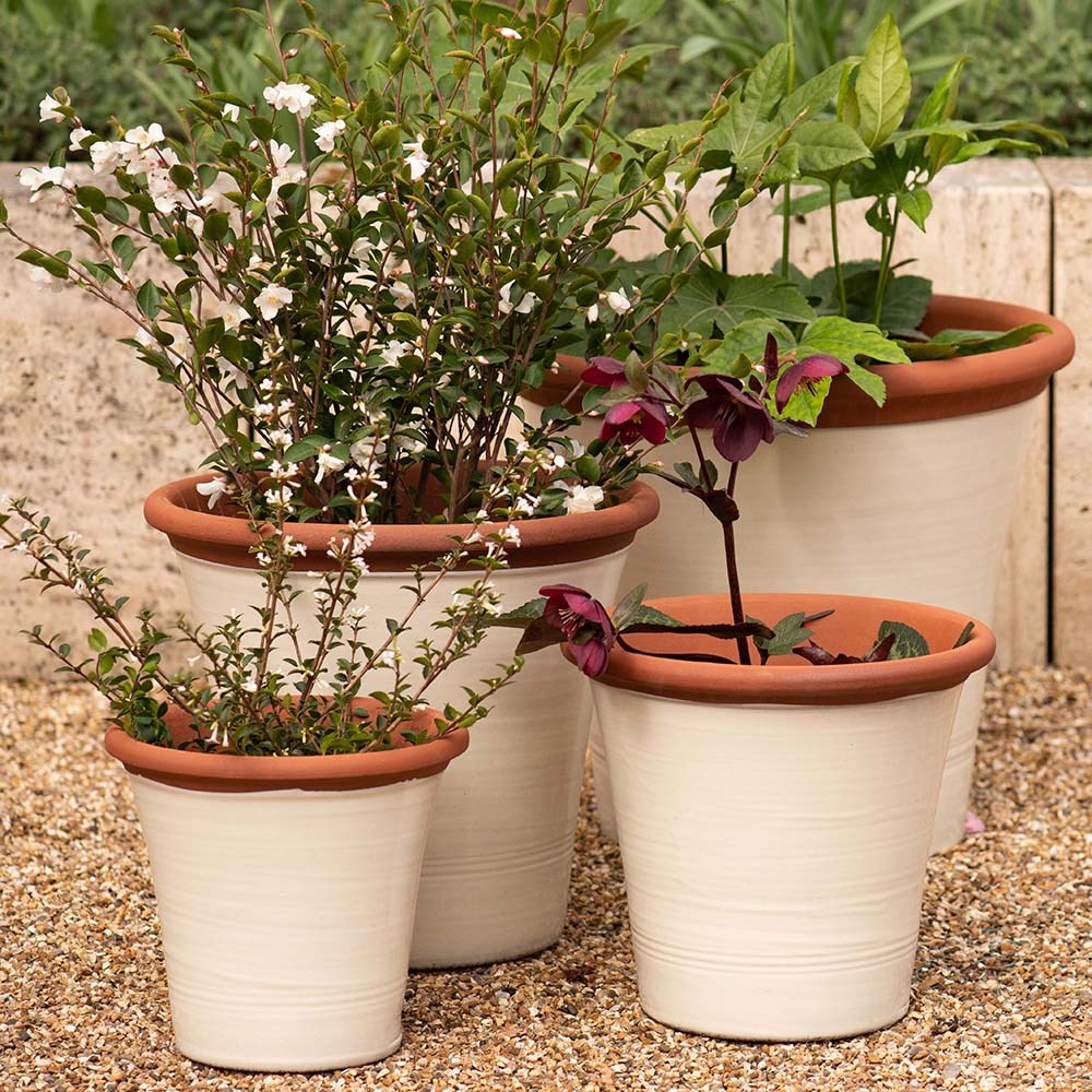 Ivory kitchen planter