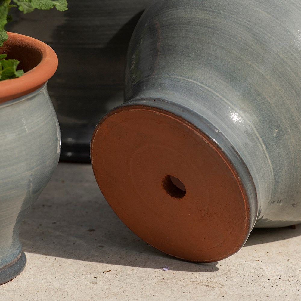 Grey bellied planter