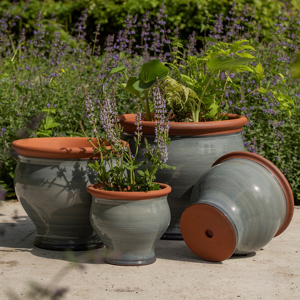 Grey bellied planter