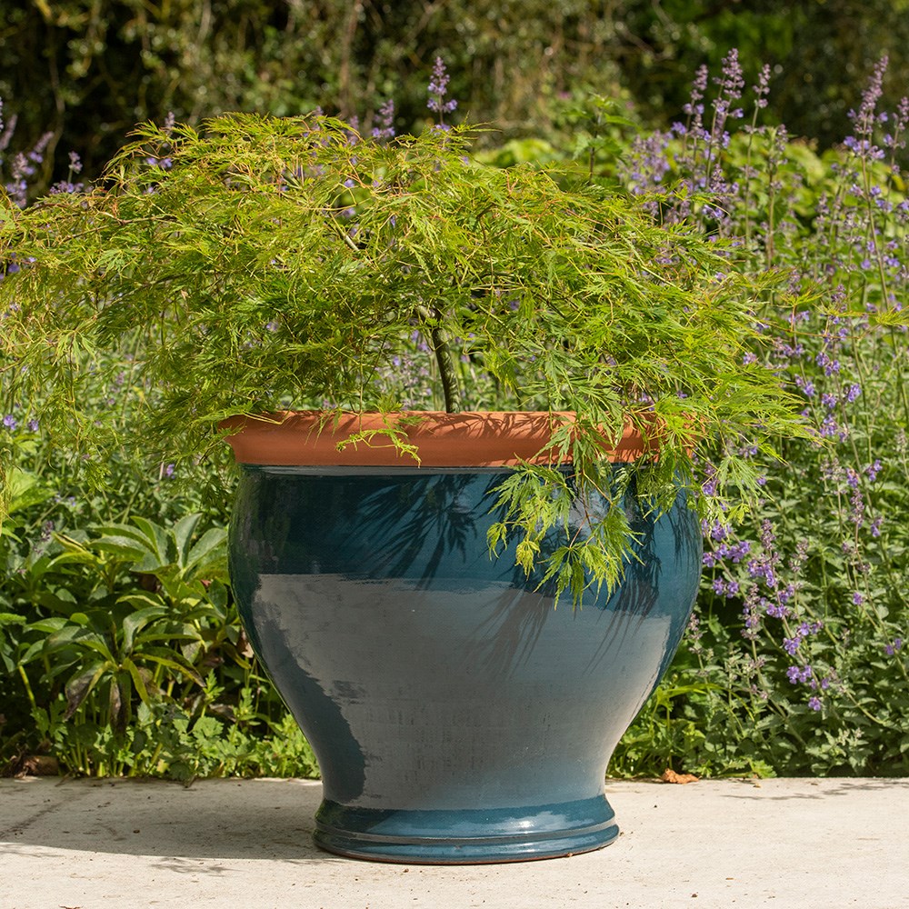 Dark teal bellied planter