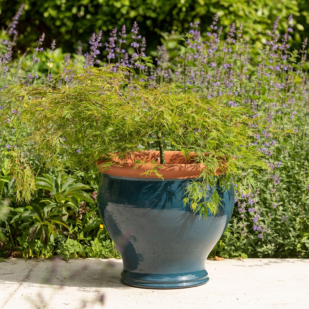 Dark teal bellied planter