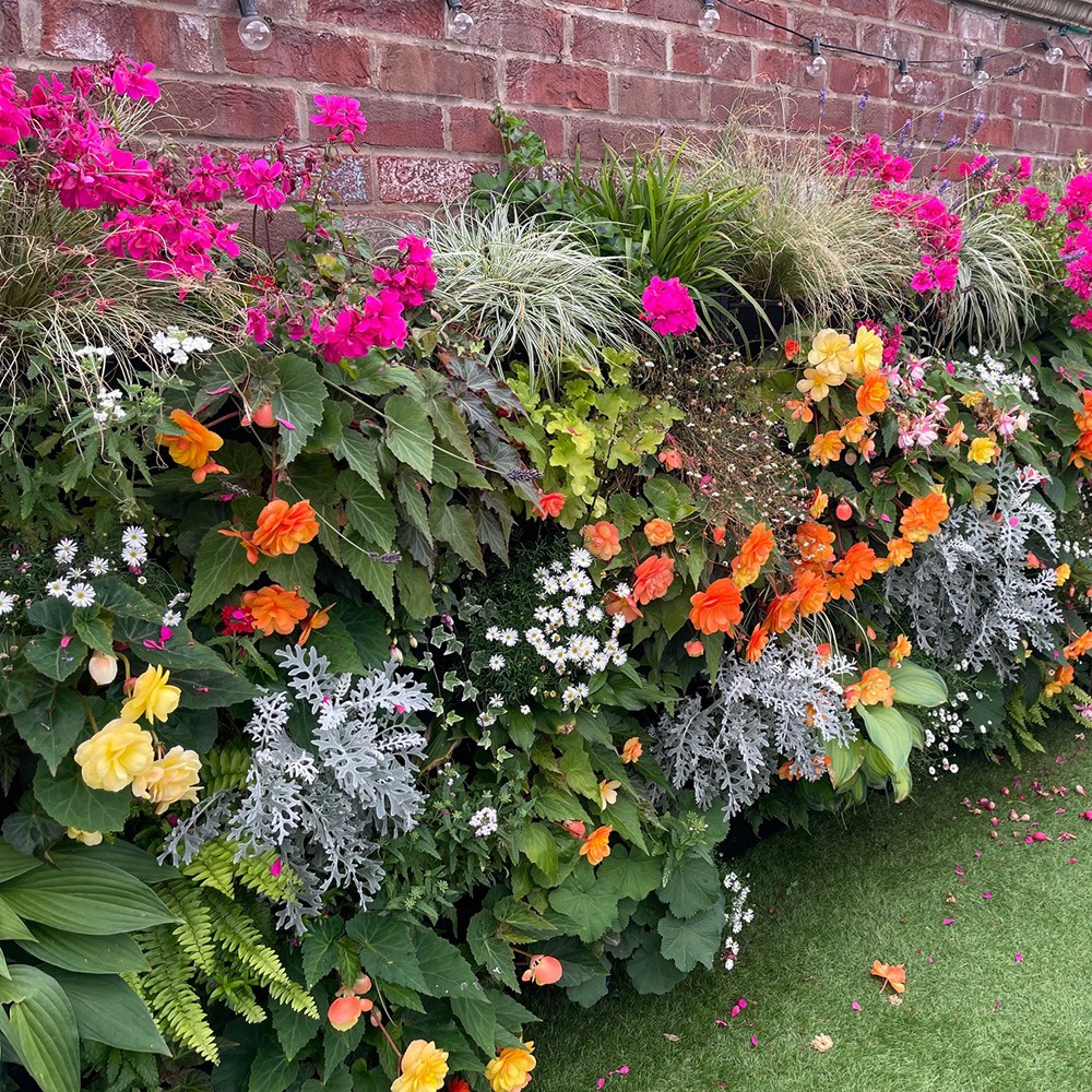 Living wall planters