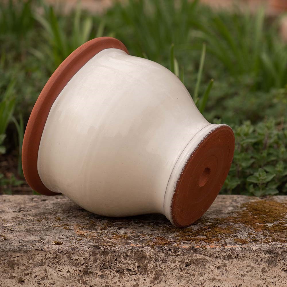 Ivory bellied planter