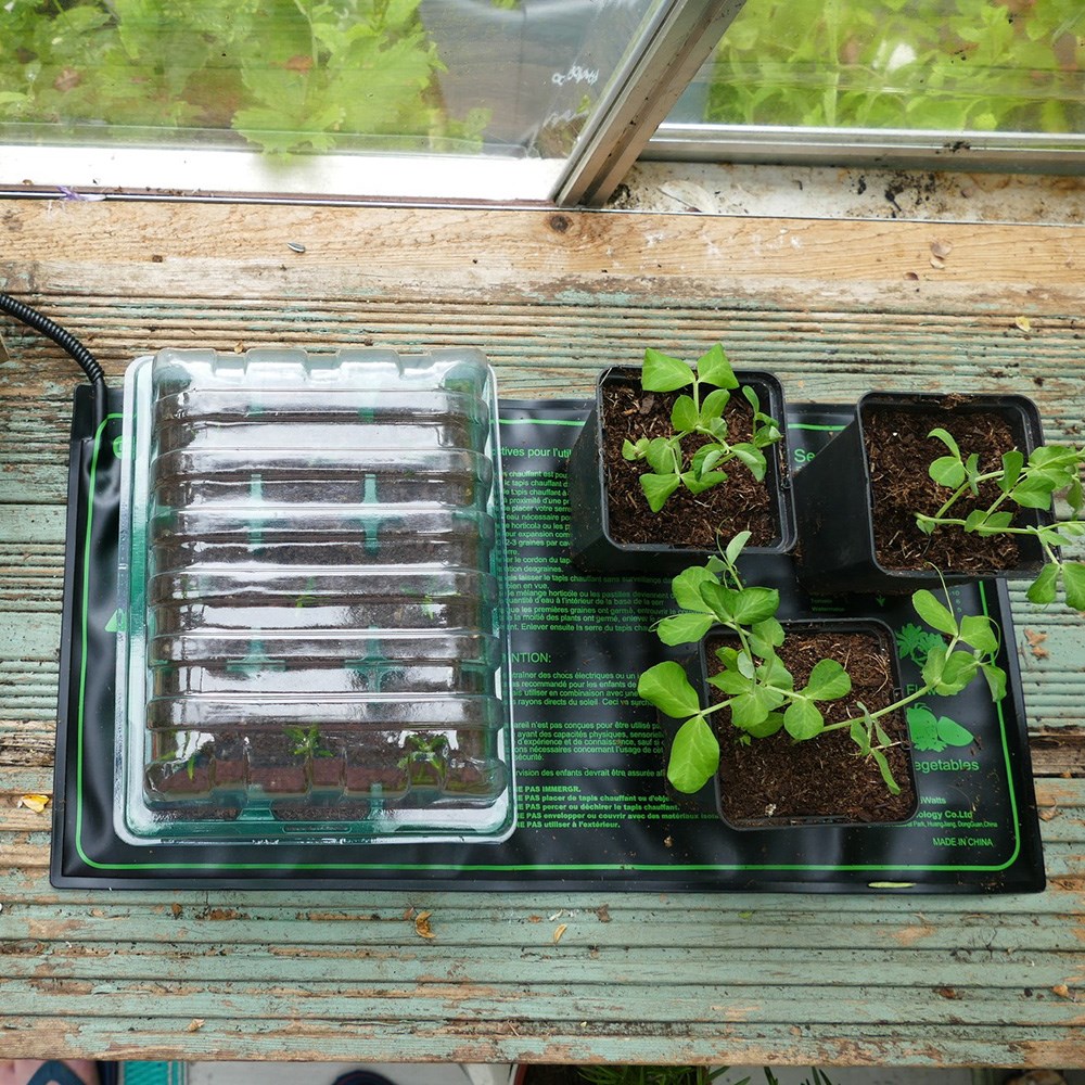 Electric heated propagation mat