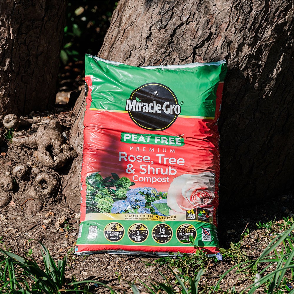 Miracle gro peat-free premium rose, tree and shrub compost