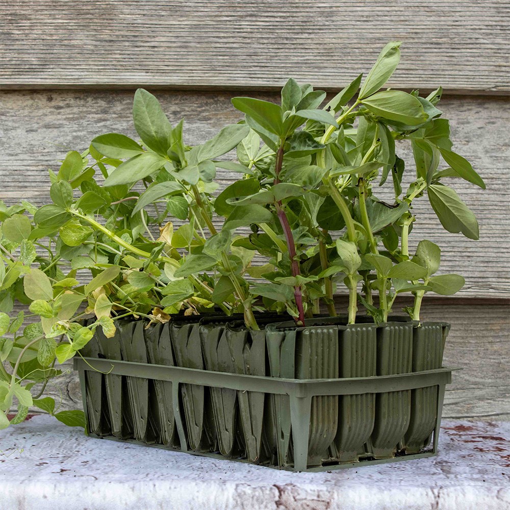 Deep root trainers