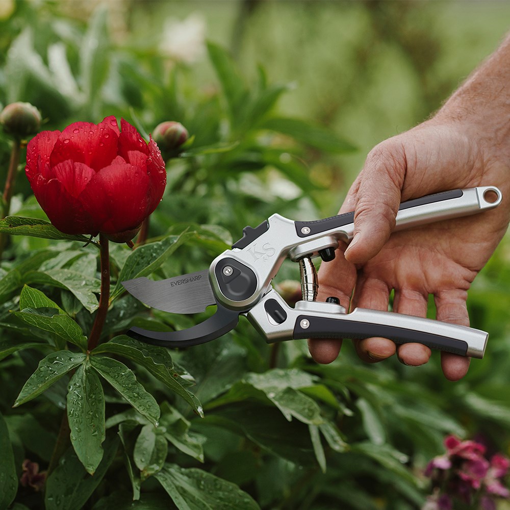 Eversharp bypass secateurs