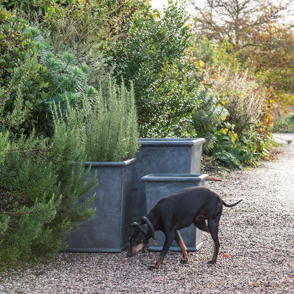 Greystoke square tapered planter