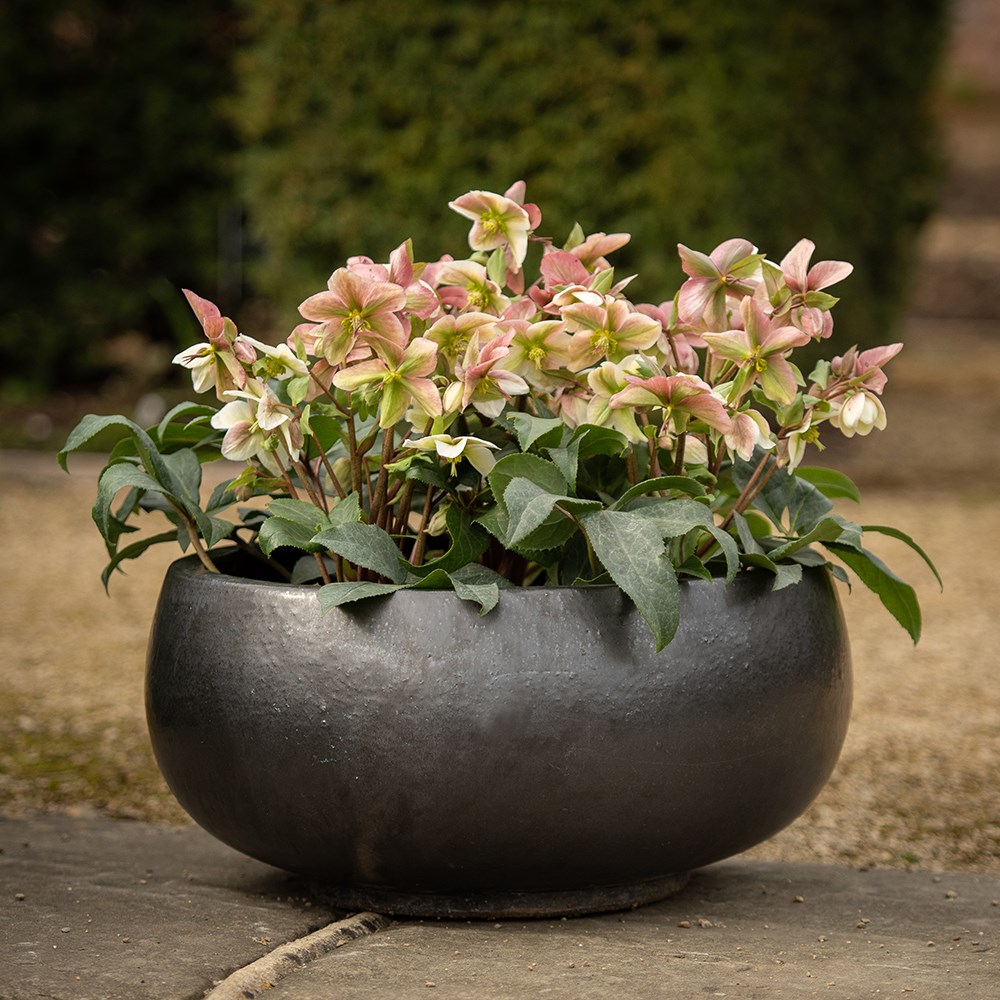 Glazed terracotta bowl - matte charcoal