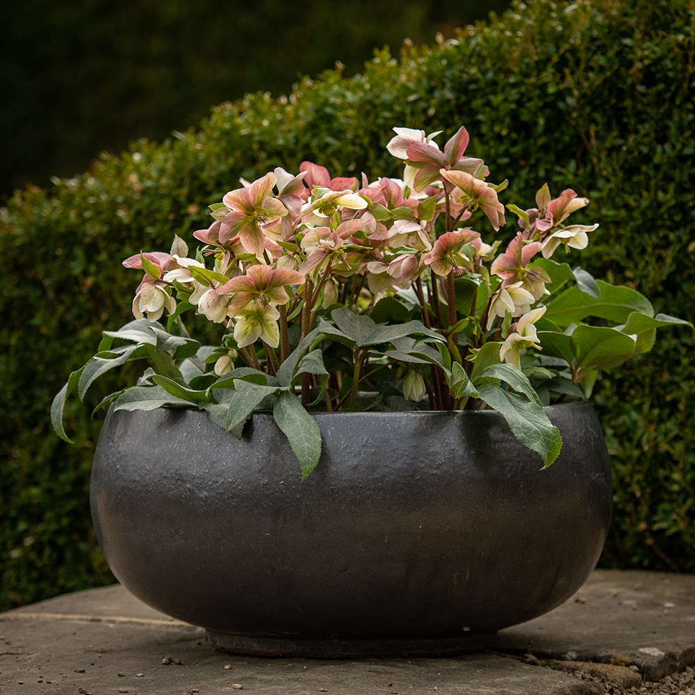 Glazed terracotta bowl - matte charcoal