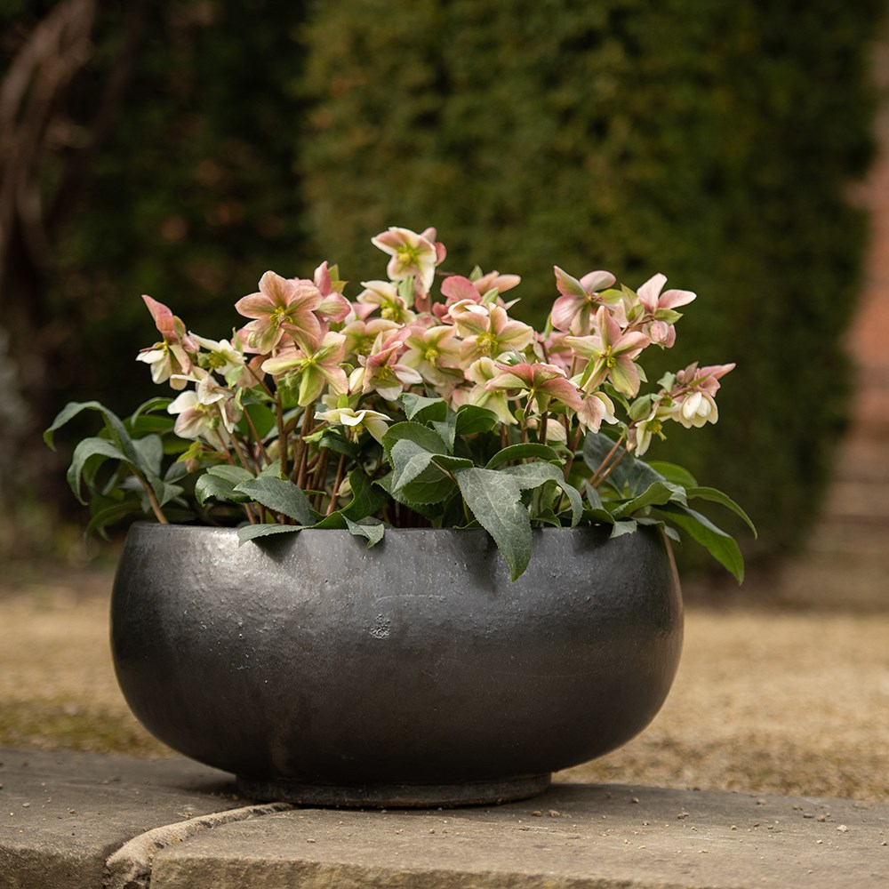 Glazed terracotta bowl - matte charcoal
