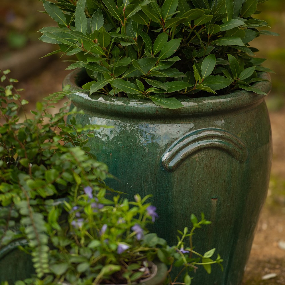 Glazed terracotta tulip pot - misty green