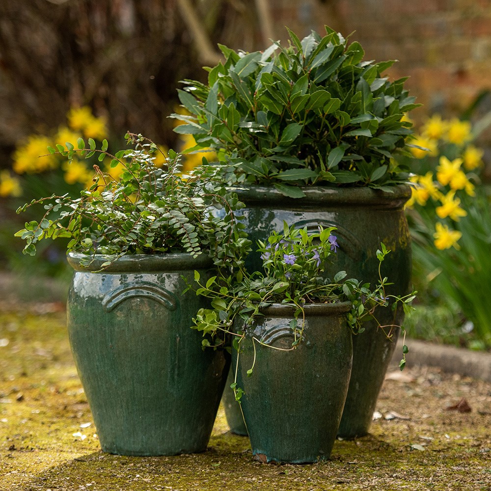Glazed terracotta tulip pot - misty green