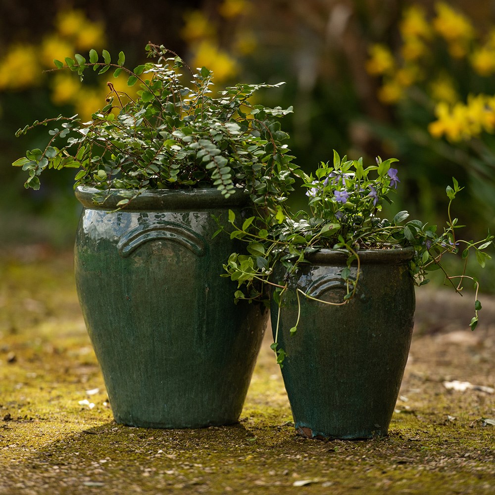 Glazed terracotta tulip pot - misty green