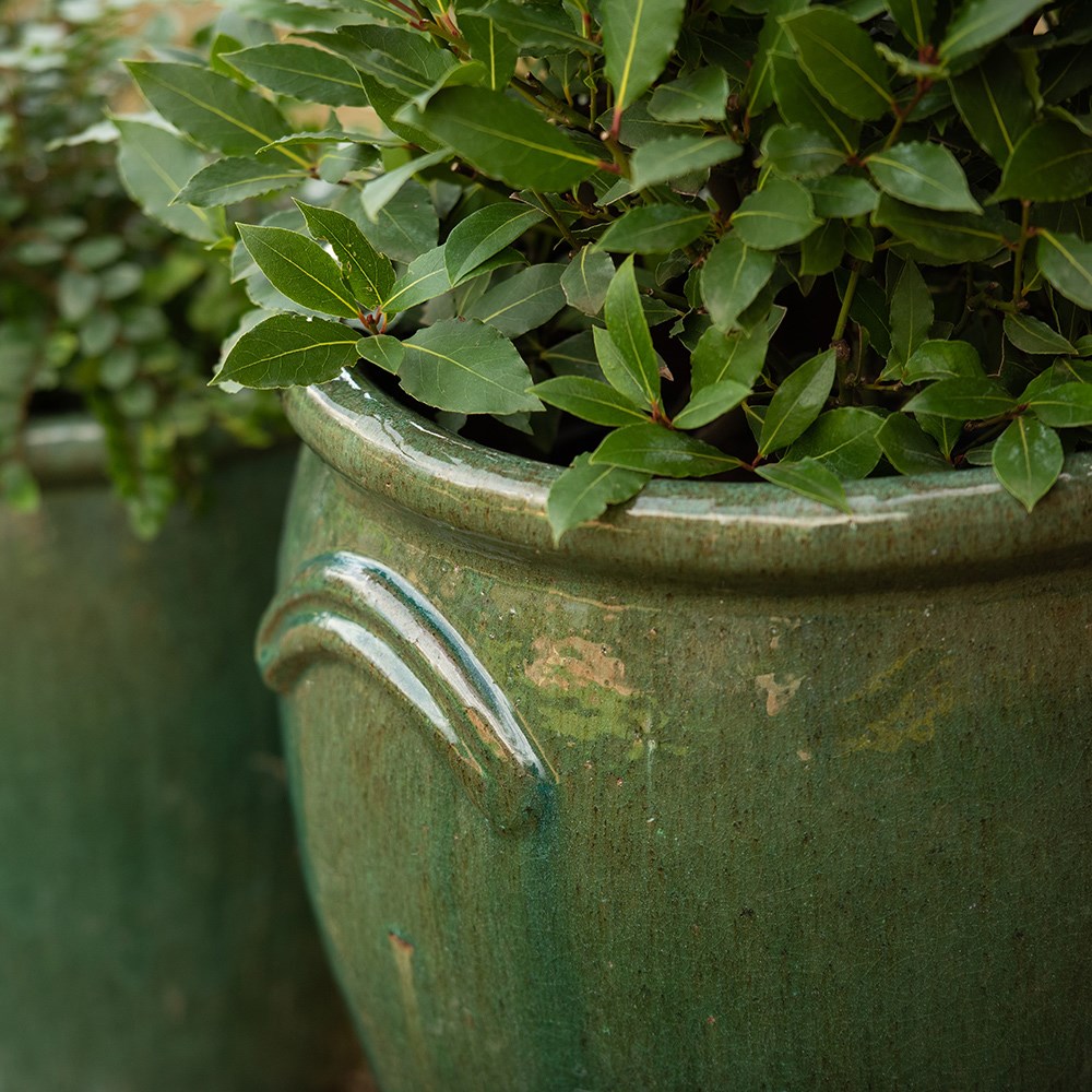 Glazed terracotta tulip pot - misty green