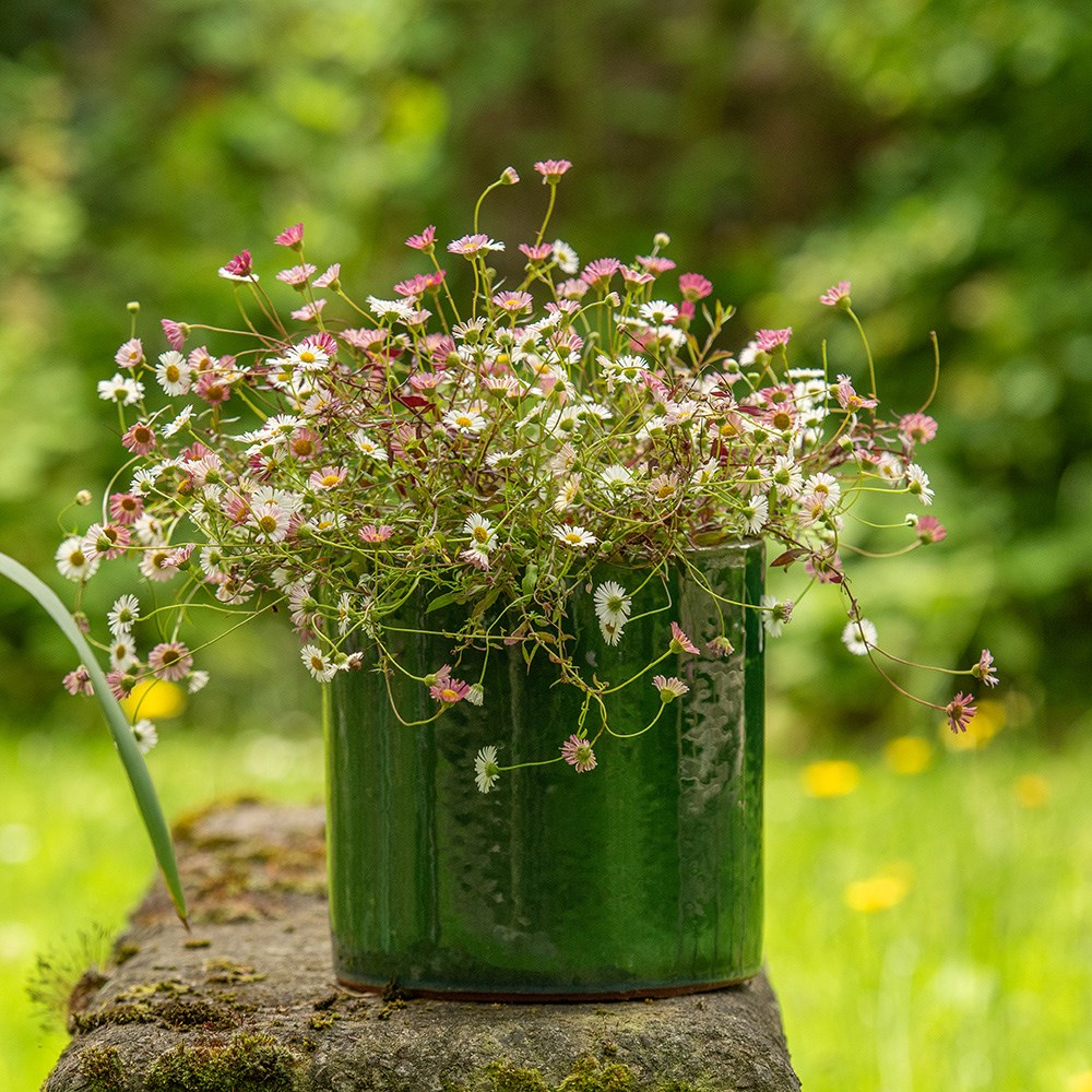 Glazed ceramic cylinder crackle green
