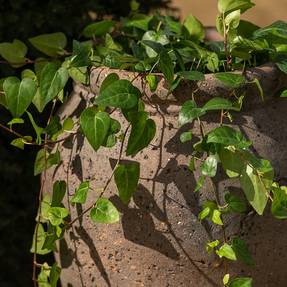 Terracotta urn - sandblasted