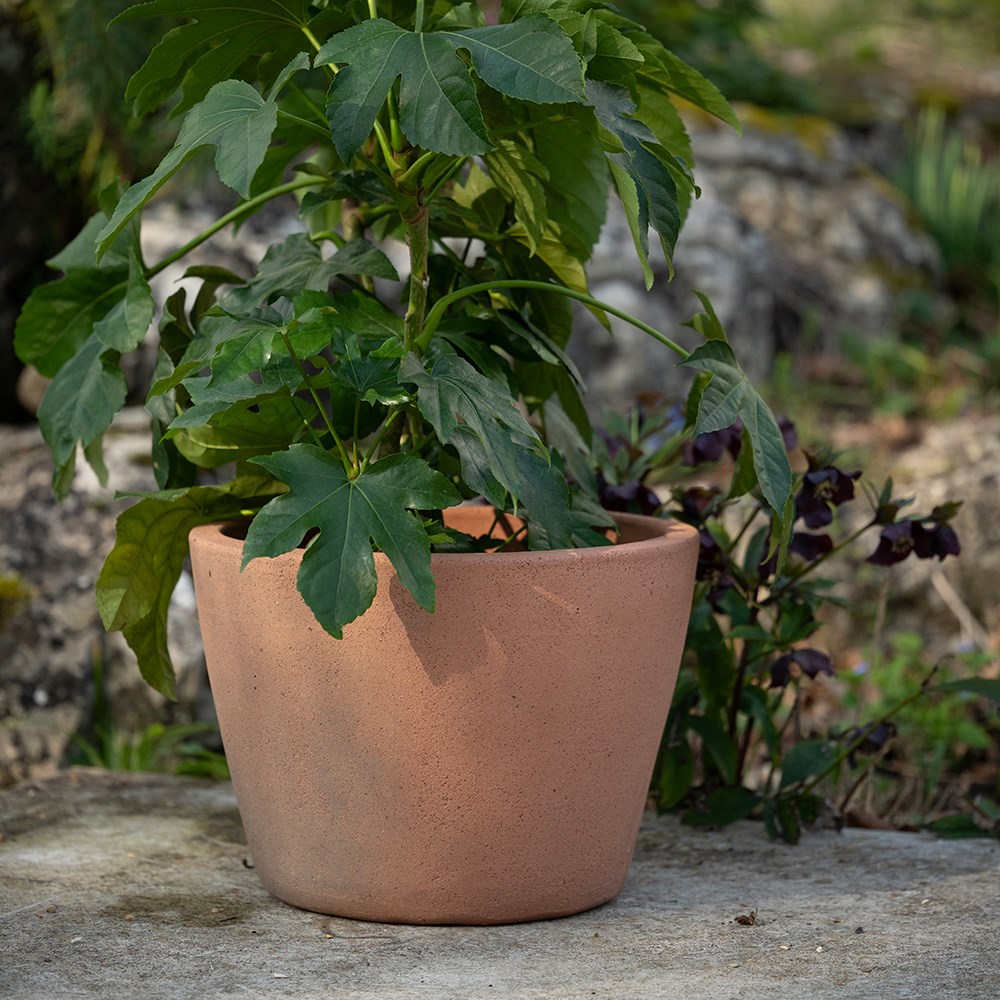 Tapered terracotta pot - sandblasted