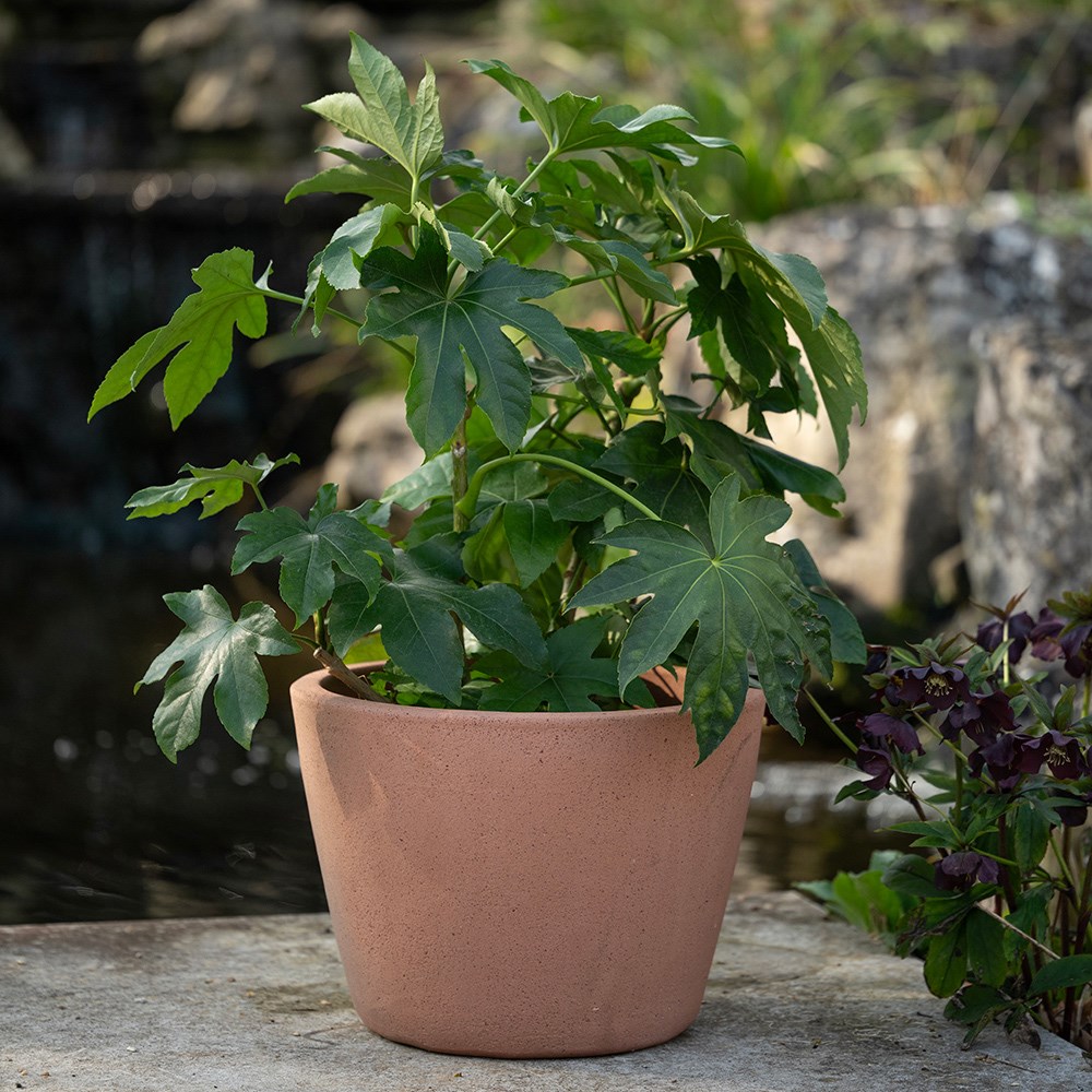Tapered terracotta pot - sandblasted