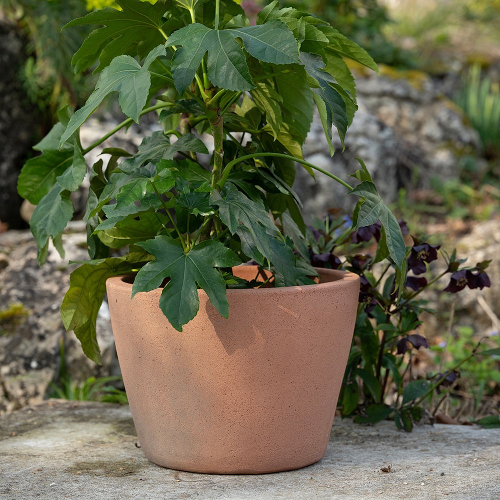 Tapered terracotta pot - sandblasted