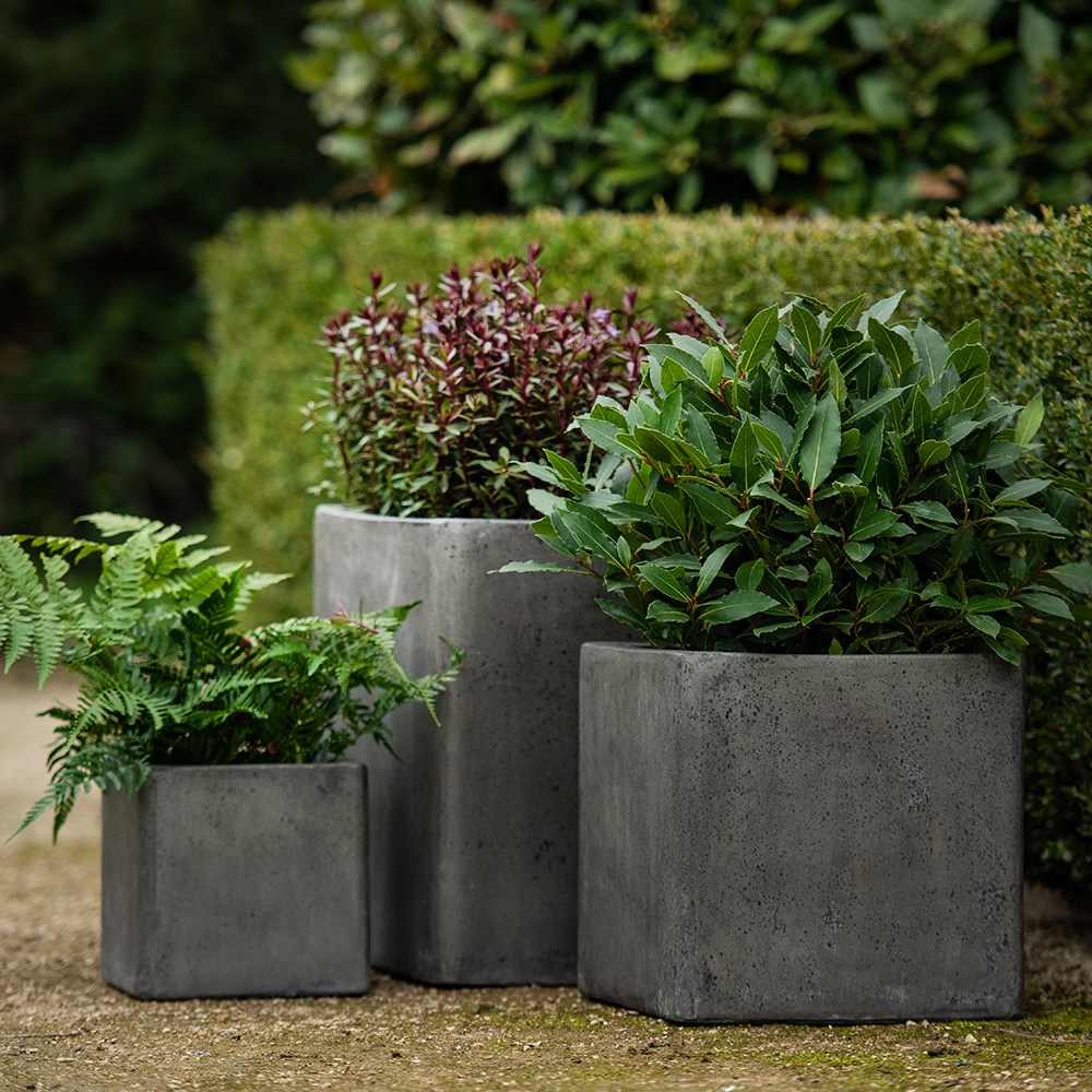 Cement cube pot - waxed