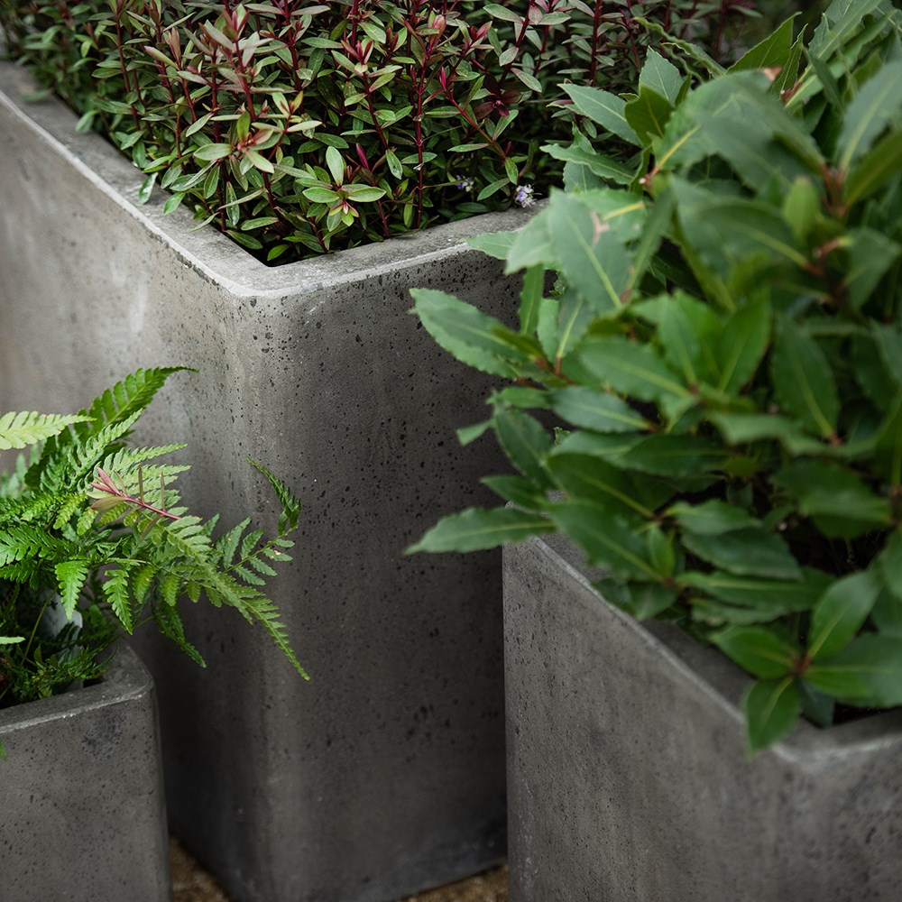Cement cube pot - waxed