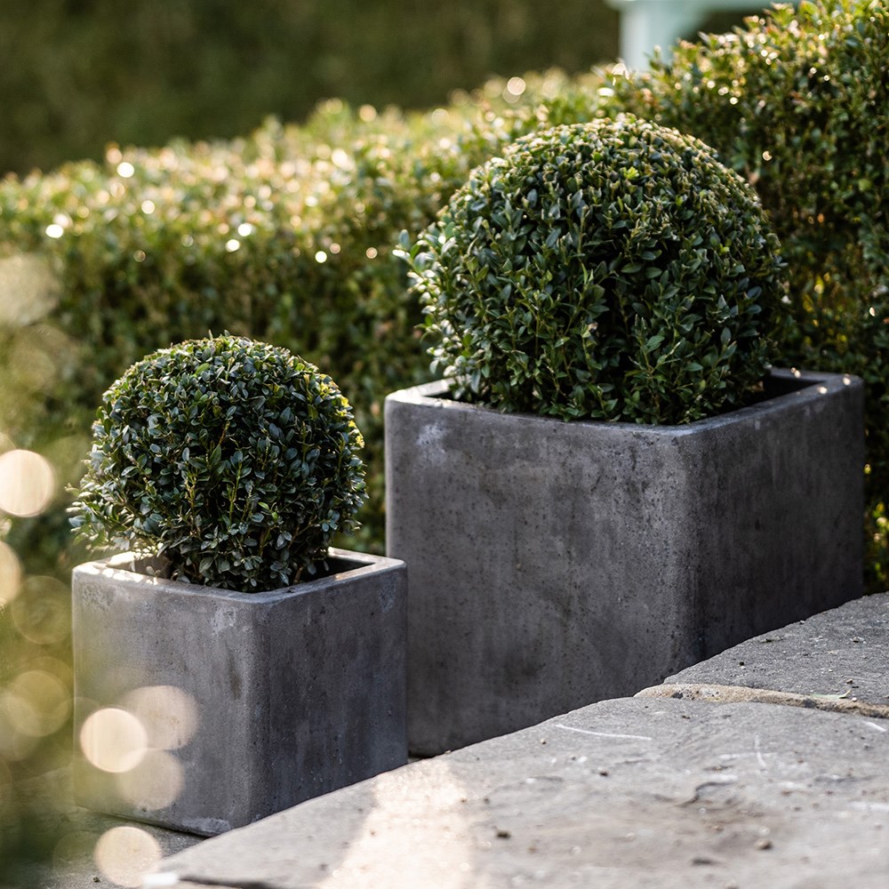 Cement cube pot - waxed