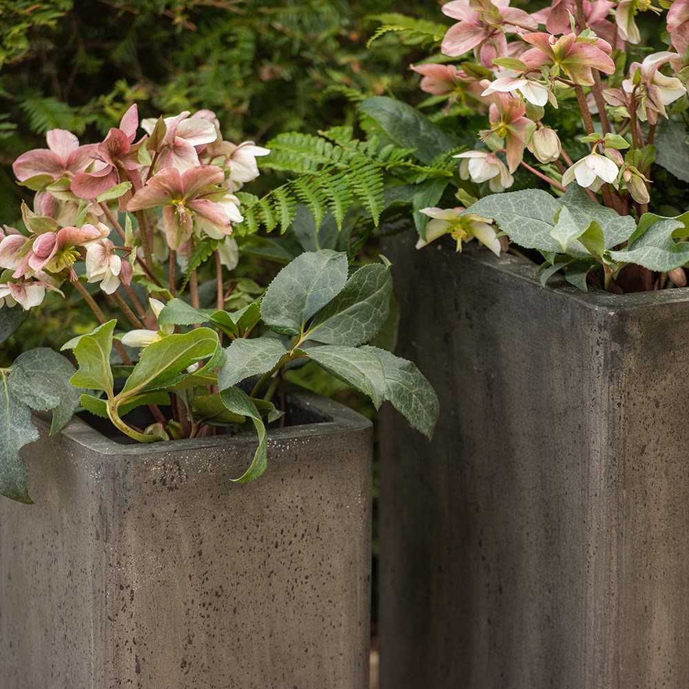 Tall cement cube pot - waxed