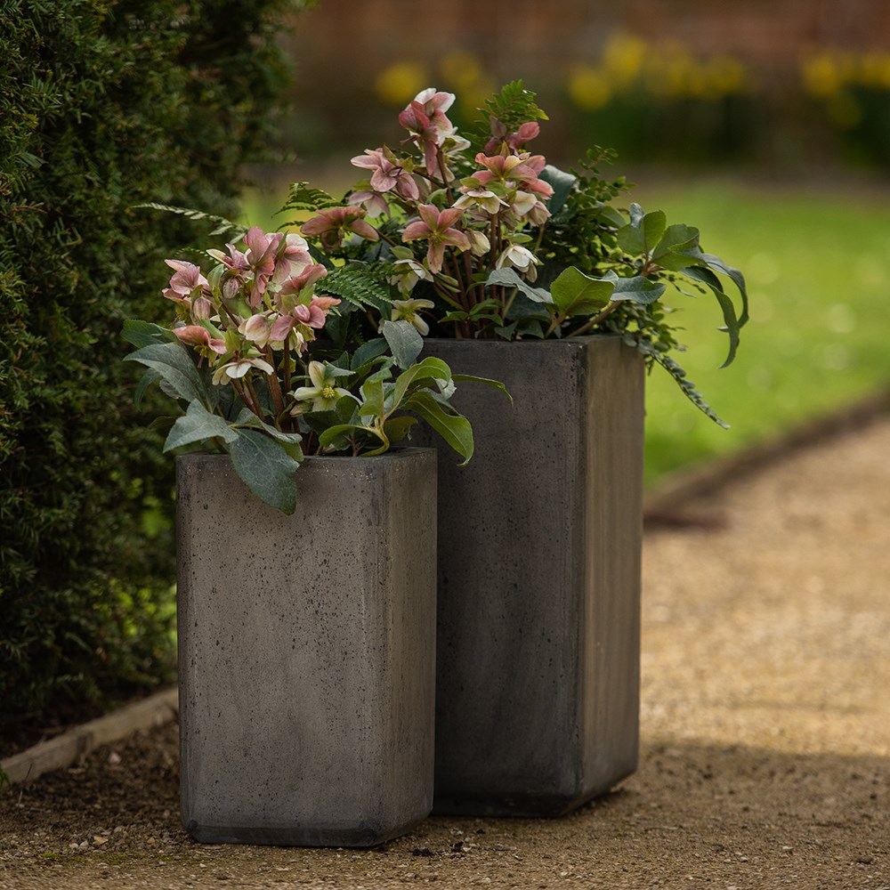 Tall cement cube pot - waxed