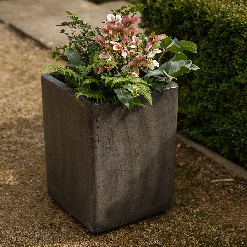 Tall cement cube pot - waxed