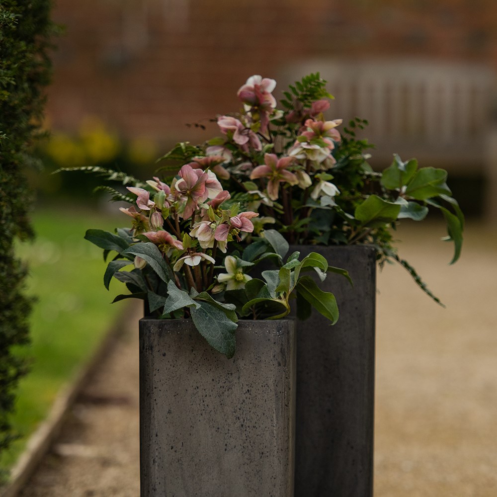 Tall cement cube pot - waxed