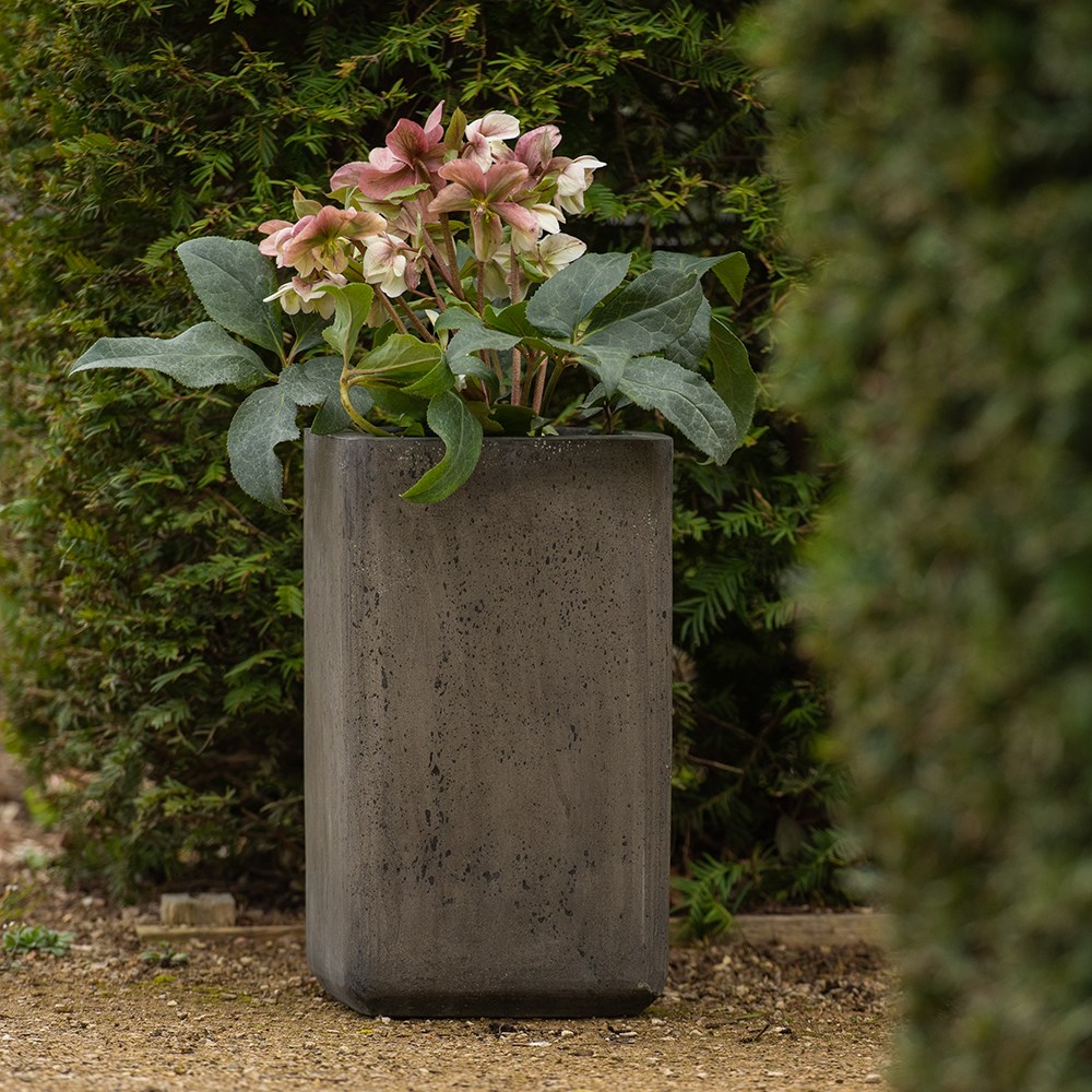 Tall cement cube pot - waxed