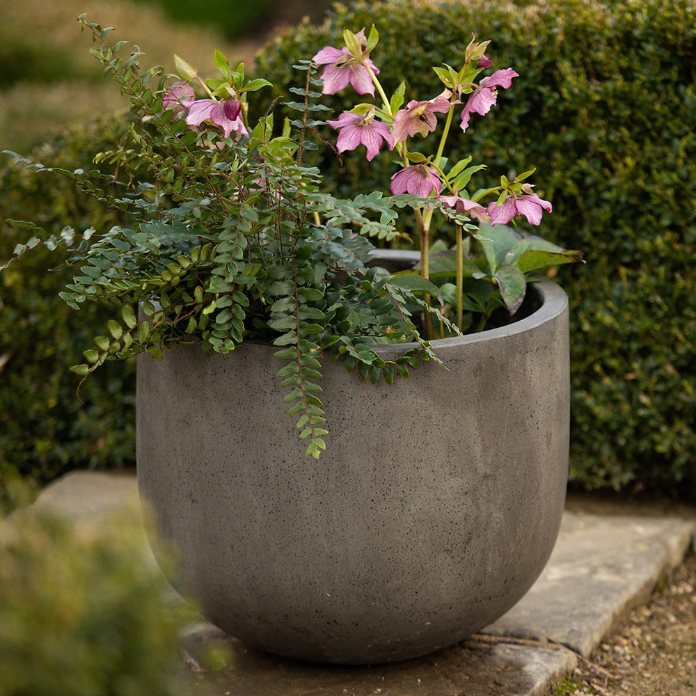 Cement egg pot - waxed