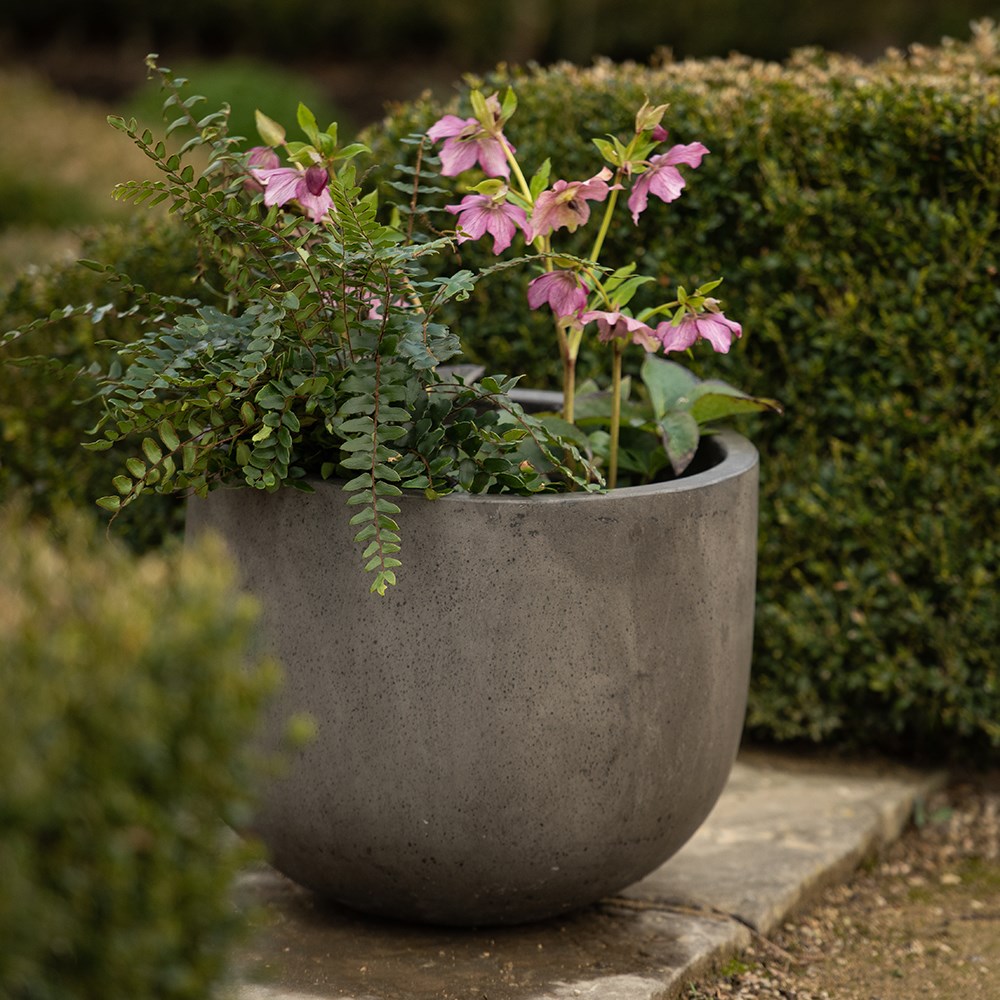 Cement egg pot - waxed